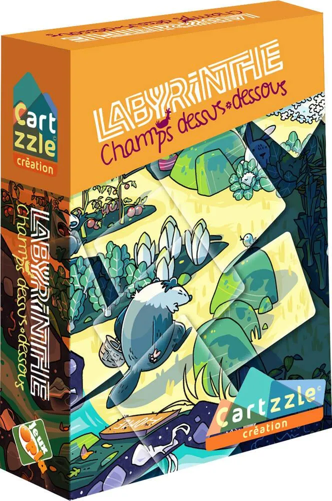 CARTZZLE - LABYRINTHE CHAMPS DESSUS-DESSOUS