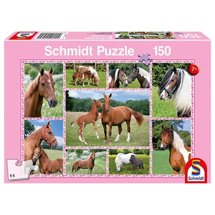 REVES DE CHEVAUX, 150 PCS