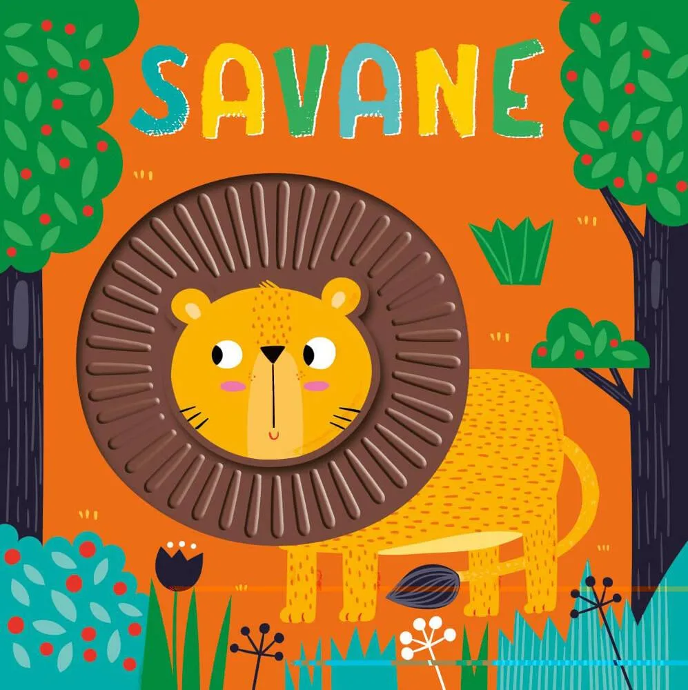 LIVRE SILICONE - SAVANE