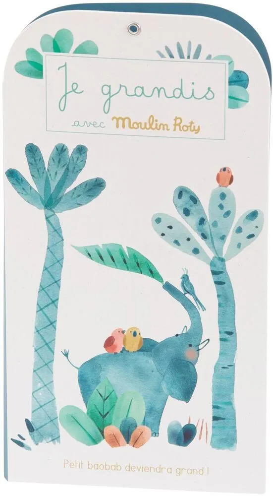 TOISE CARNET SOUS MON BAOBAB