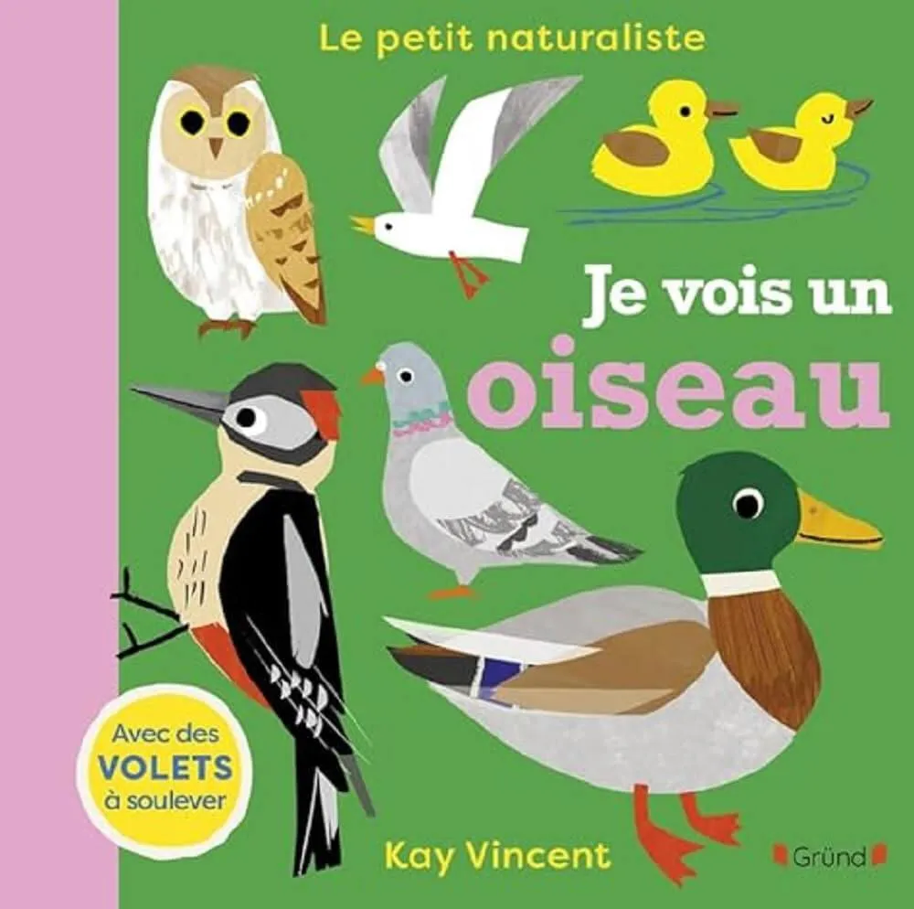 JE VOIS UN OISEAU