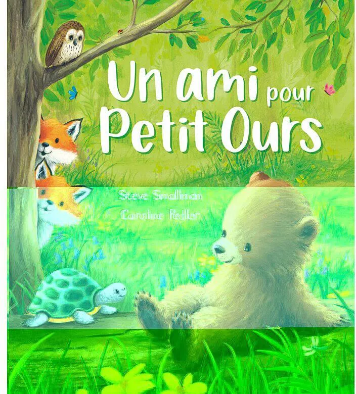 ALBUM HISTOIRES- UN AMI POUR PETIT OURS