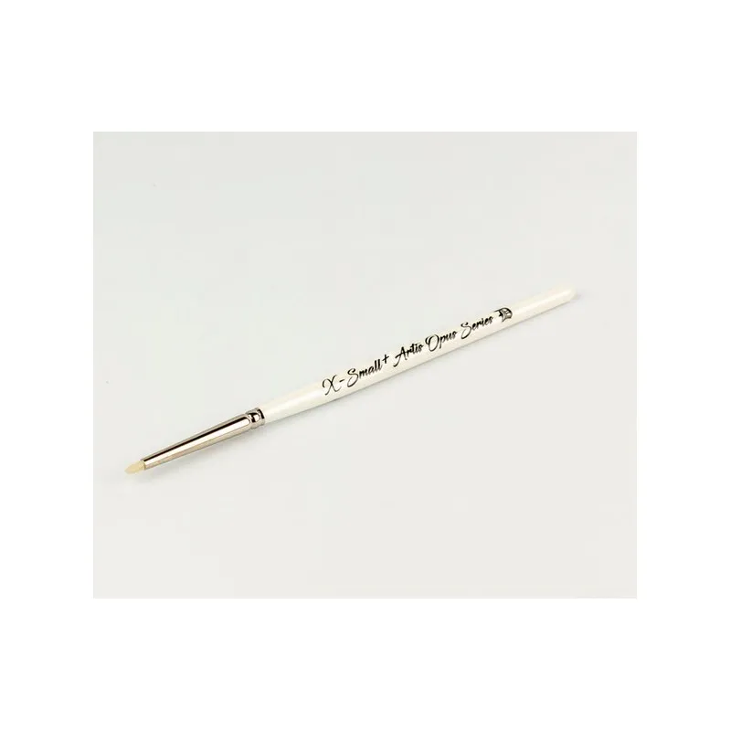 Brosse sèche X-small + série D. ARTIS OPUS