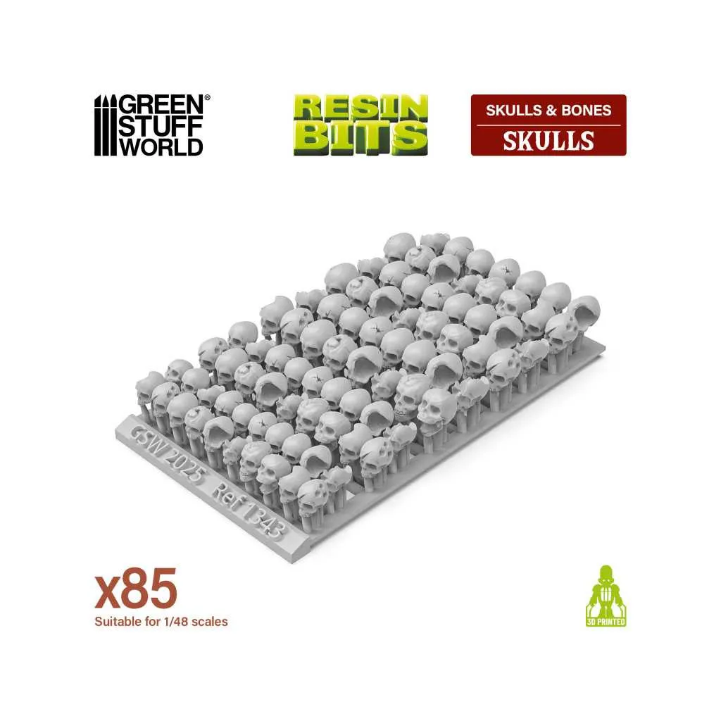 Crânes Humains en Résine (x85)