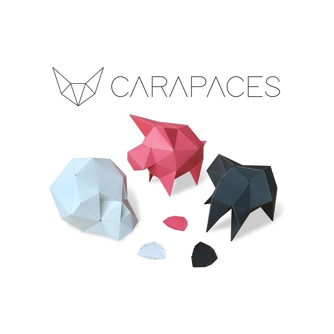 Carapaces by Doug - Rose