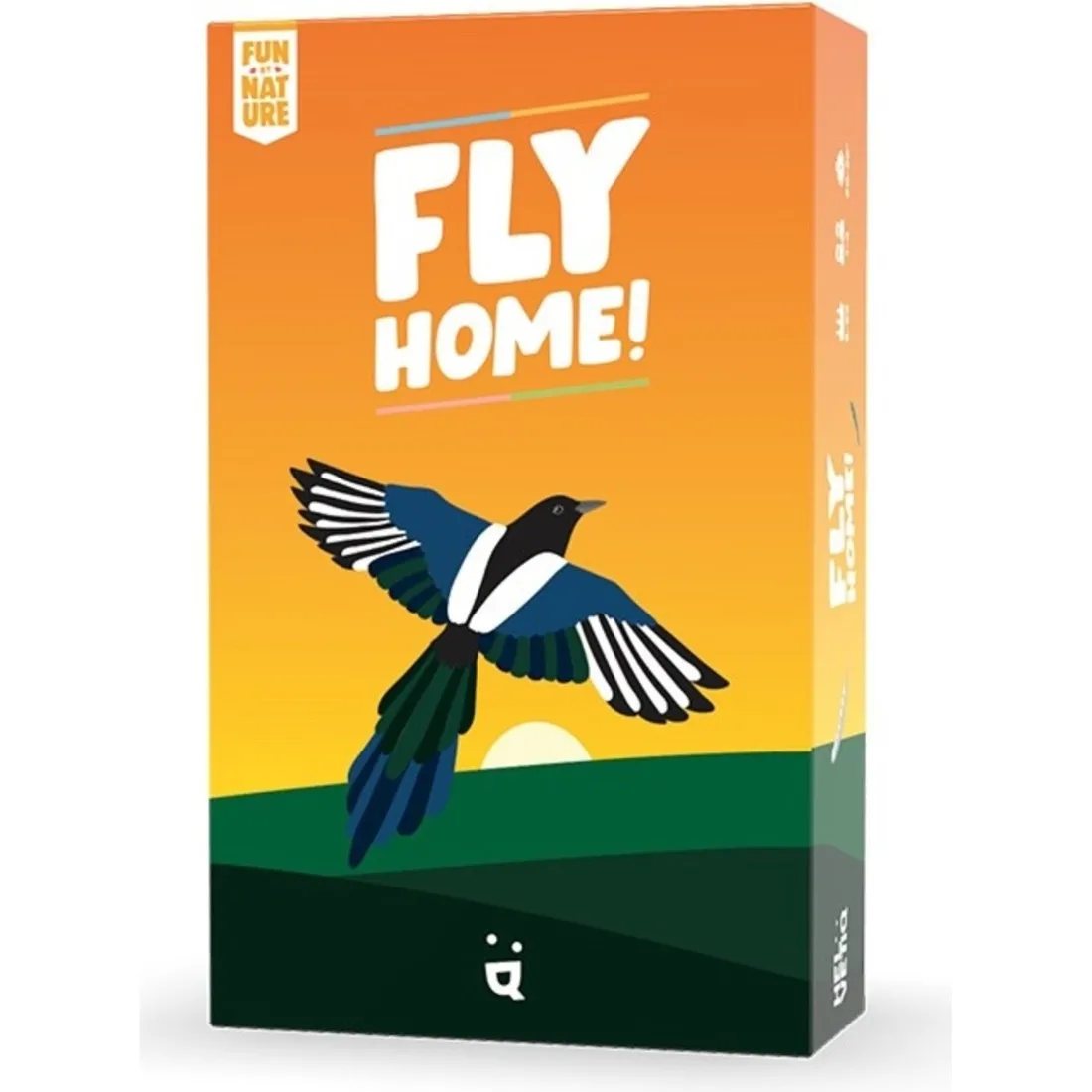 Jeu Fly Home !