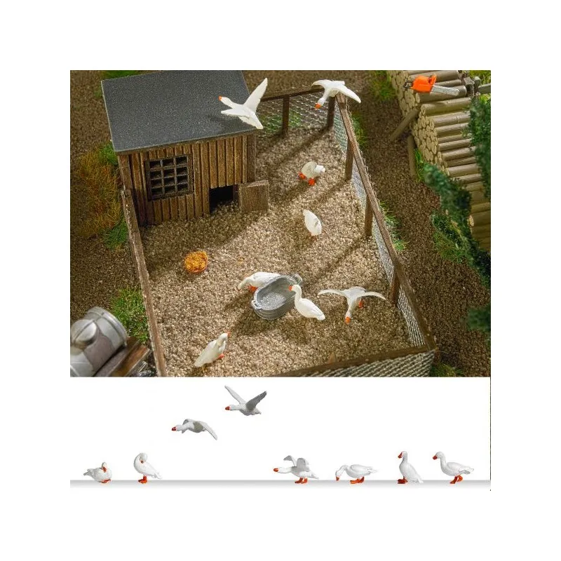 Oies domestiques. BUSCH 1195